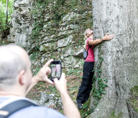 Klauser Wald, © Eifel Tourismus GmbH