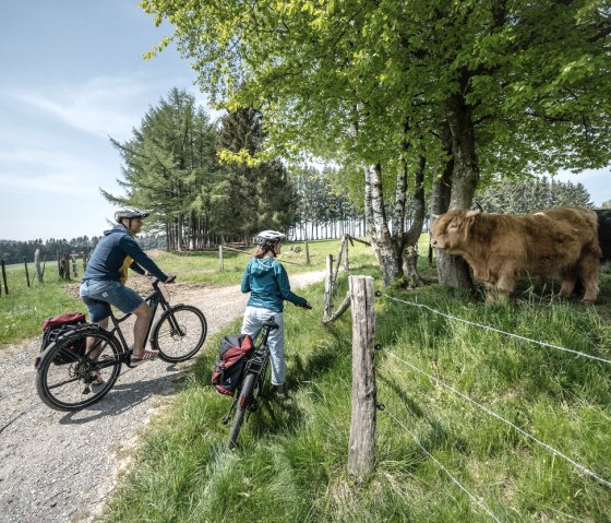 Eifellandschaft bei Kalterherberg, © Eifel Tourismus GmbH