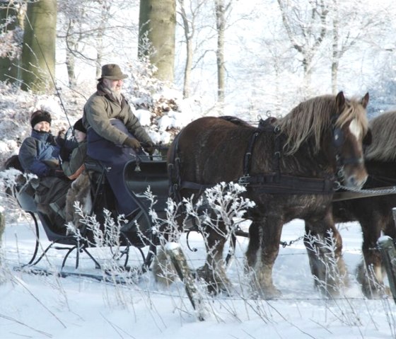 Bauershof, © Friedrich Bauer