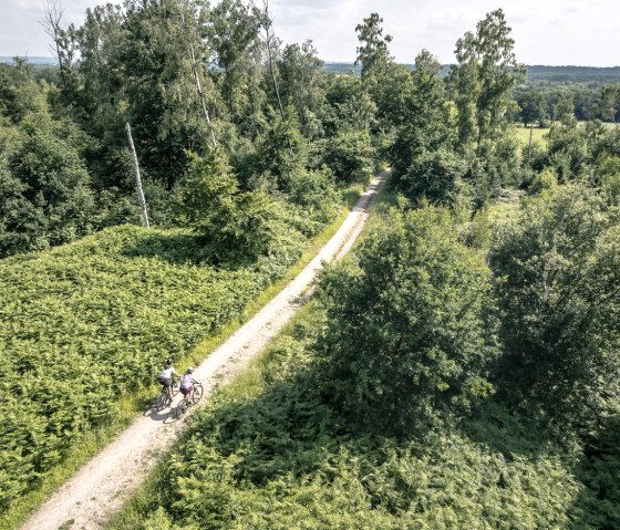 Graveln im Würselener Wald, © StädteRegion Aachen