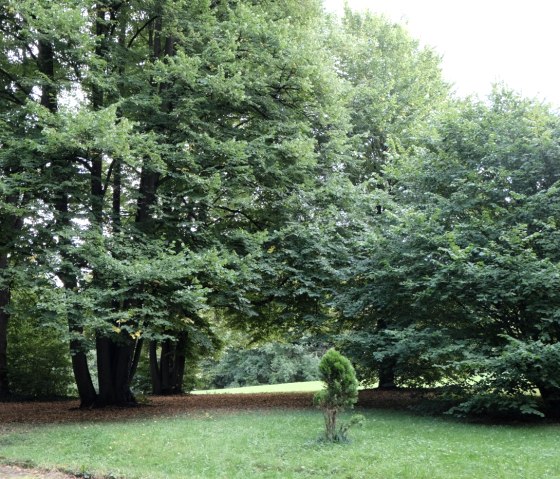 Alter-Klinikumspark, © aachen tourist service e.v.