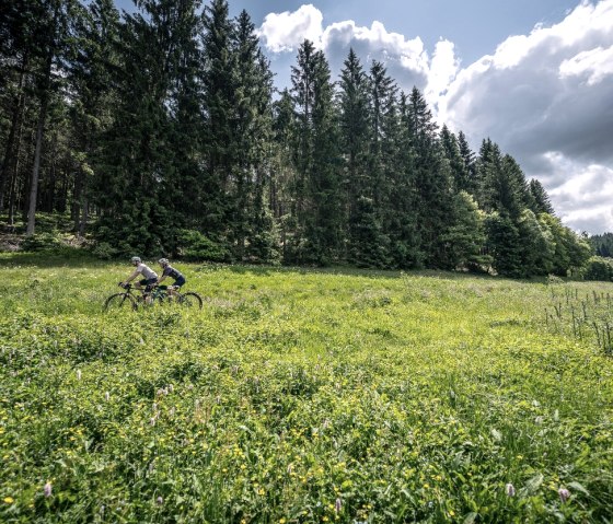 Gravelbiker im Perlenbach- und Furthsbachtal, © StädteRegion Aachen