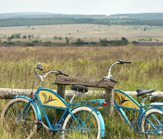 High Fens, © vennbahn.eu