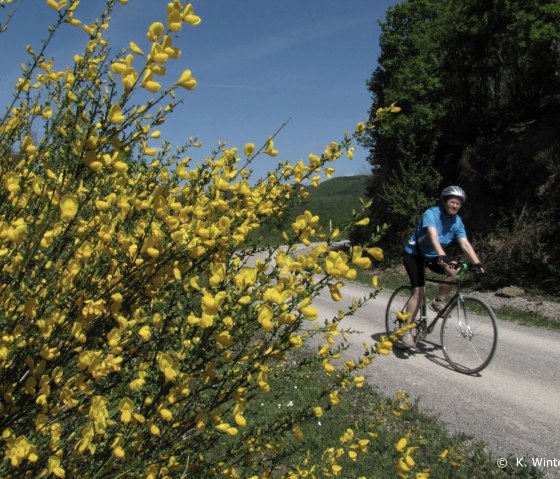 Radfahrer auf der Dreiborner Hochfläche, © K.winter