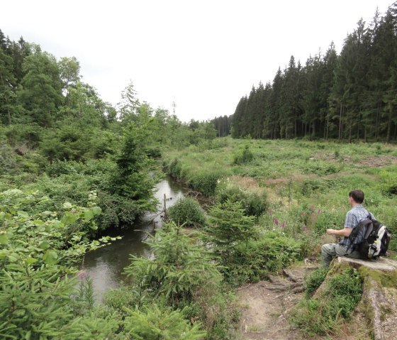 Rast am Oberlauf der Amel, © Community