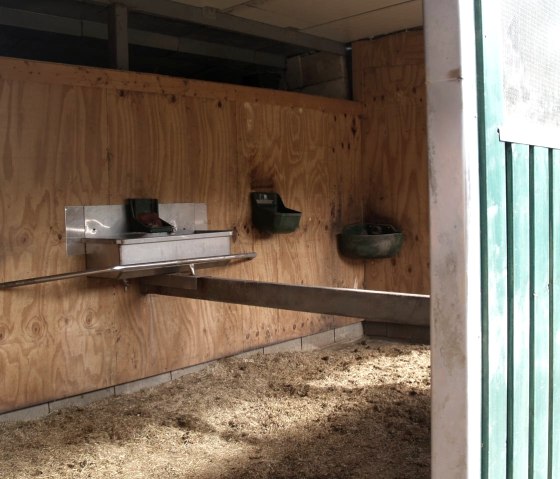 Stable1