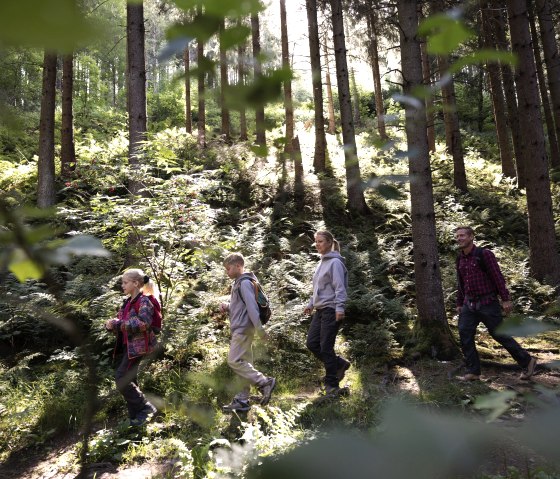 Family on the forest path, © eifel-tourismus-gmbh_tobias-vollmer