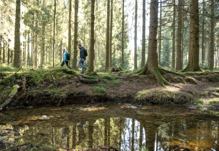 Wesertal bei Roetgen, © StädteRegion Aachen