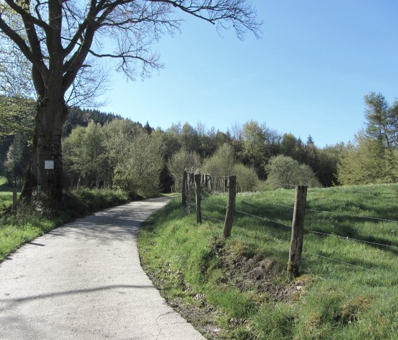 Weg im Rurtal, © StädteRegion Aachen