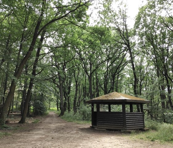 Shelter in the forest of Burgau Castle, © Kreis Düren