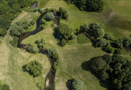 Mäandrierende Wurm, © Fotograf: Dominik Ketz