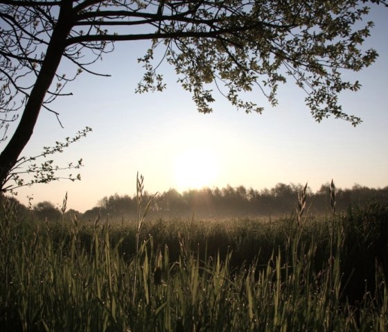 Soers, © StädteRegion Aachen