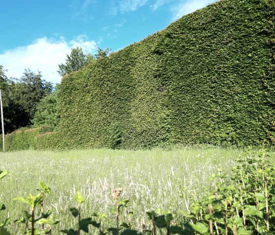 House hedge in Höfen, © Monschau-Touristik