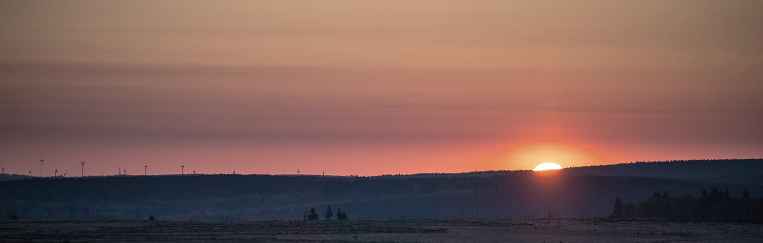 Hohes Venn - Abendstimmung, © Dennis Stratmann