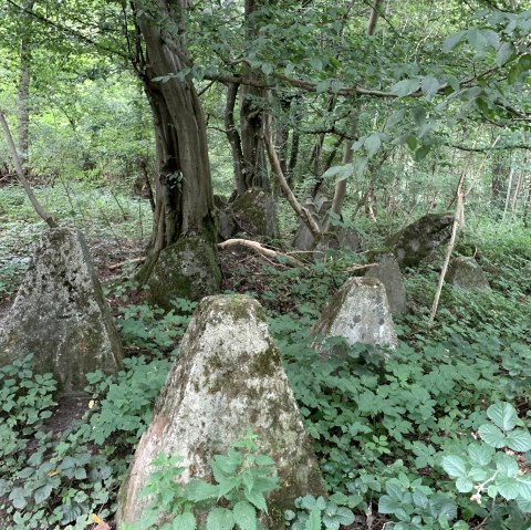 Überbleibsel des Westwalls, © StädteRegion Aachen