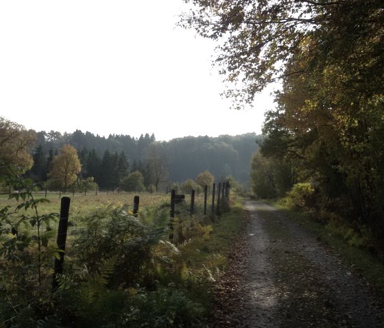 Wanderweg bei Xhoffraix, © StädteRegion Aachen