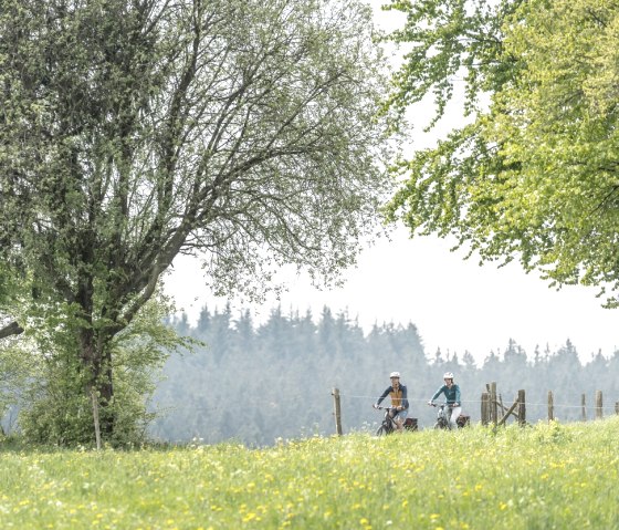 Eifellandschaft bei Kalterherberg, © Eifel Tourismus GmbH