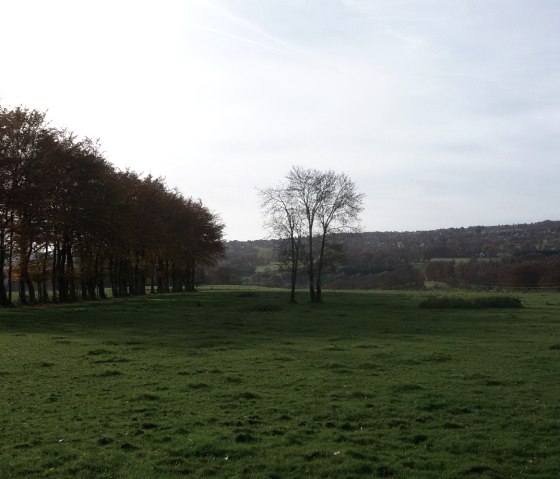 Wiesenlandschaft bei Imgenbroich, © StädteRegion Aachen