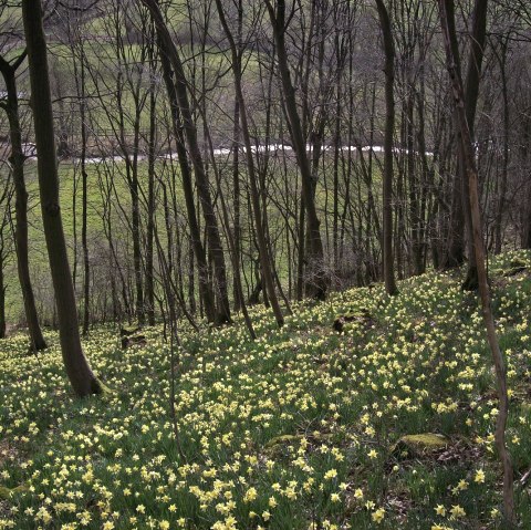 Tal der Blumen, © Tourismusagentur Ostbelgien