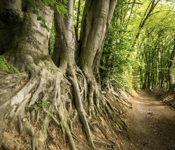 Landgraben, © Fotograf: Dominik Ketz