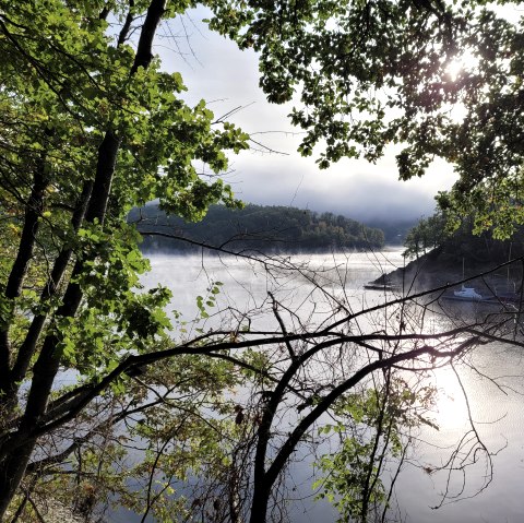 Ausblick auf den Rursee, © Rursee-Touristik GmbH, Sabine van Havere