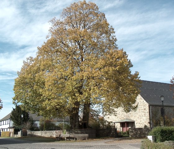 Flurheckenweg, © RURSEE-TOURISTIK GMBH