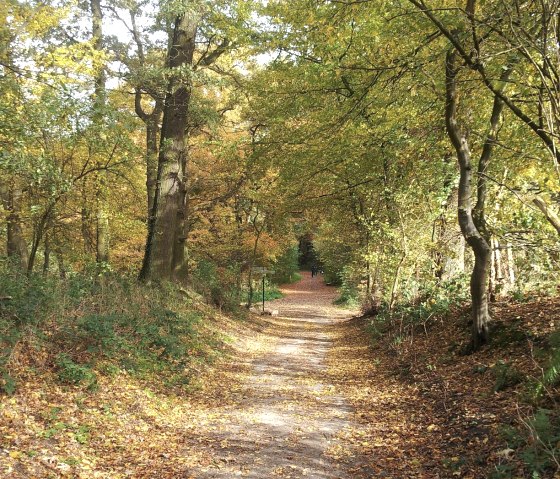 Wanderweg im Wurmtal, © Stadt Würselen