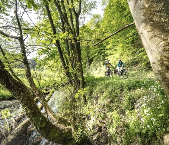 Radweg bei Erkensrur, © Eifel Tourismus GmbH