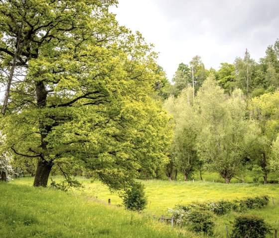 Iterbachtal, © StädteRegion Aachen