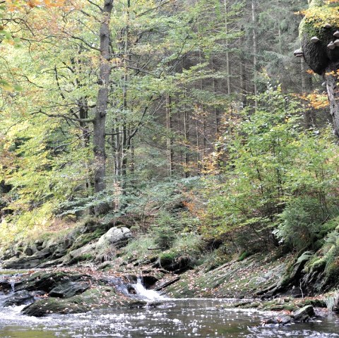The black river, © StädteRegion Aachen