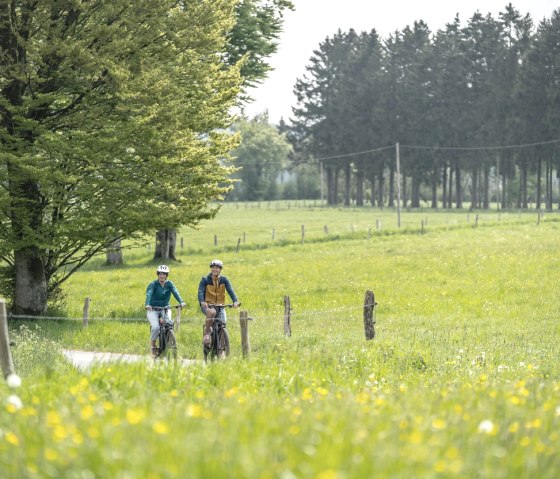 Eifellandschaft bei Kalterherberg, © Eifel Tourismus GmbH