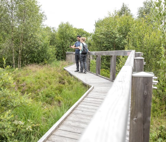 Über Stege wandern, Palsen bei Monschau-Mützenich, © Eifel Tourismus GmbH, AR-shapefruit AG