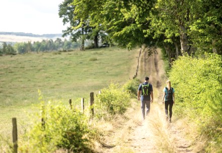 Wandern auf dem Rursee-Höhenweg, © Eifel Tourismus GmbH