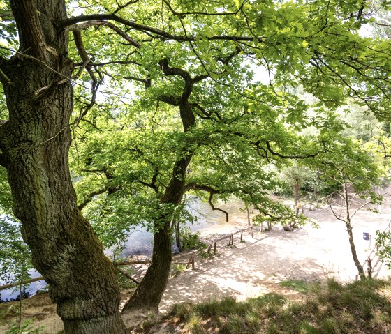 Broichbachtal Alsdorf, © StädteRegion Aachen