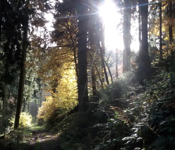 Belgenbachtal bei Imgenbroich, © StädteRegion Aachen