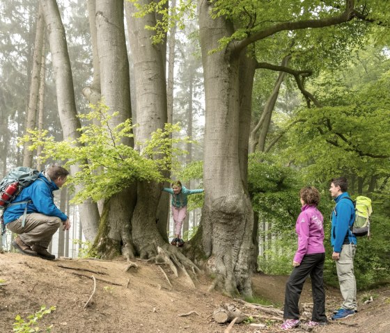 Wanderer im Aachener Wald, © StädteRegion Aachen