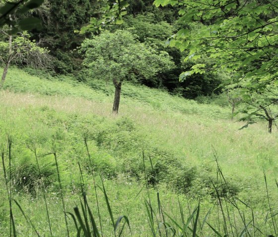 Riffelsbach-Runde, © Jessica Jehnen