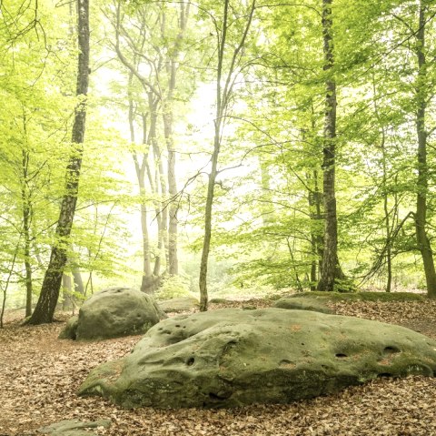 Cyclopean stones, © StädteRegion Aachen