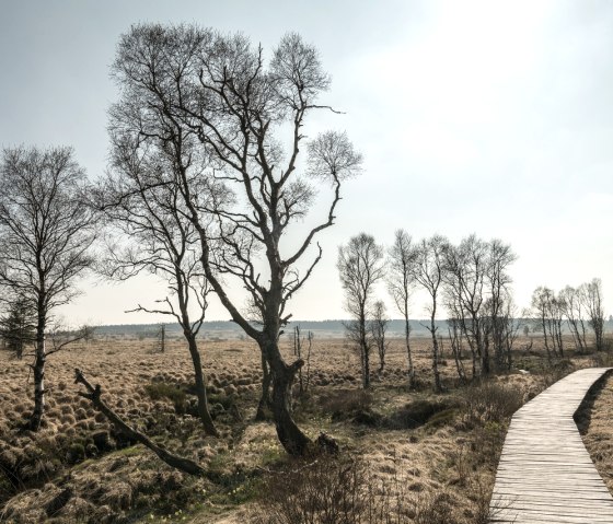 Footbridge in the High Fens, © StädteRegion Aachen