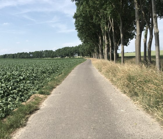 Entlang des Beeckfließ, © StädteRegion Aachen