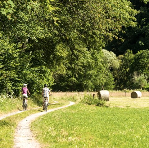 Radfahrer im Rurtal, © StädteRegion Aachen