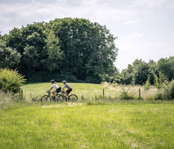 Wiesenlandschaft bei Hahn-Vennwegen, © StädteRegion Aachen