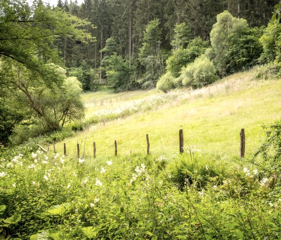 Ölmühle im Tiefenbachtal, © Eifel Tourismus GmbH
