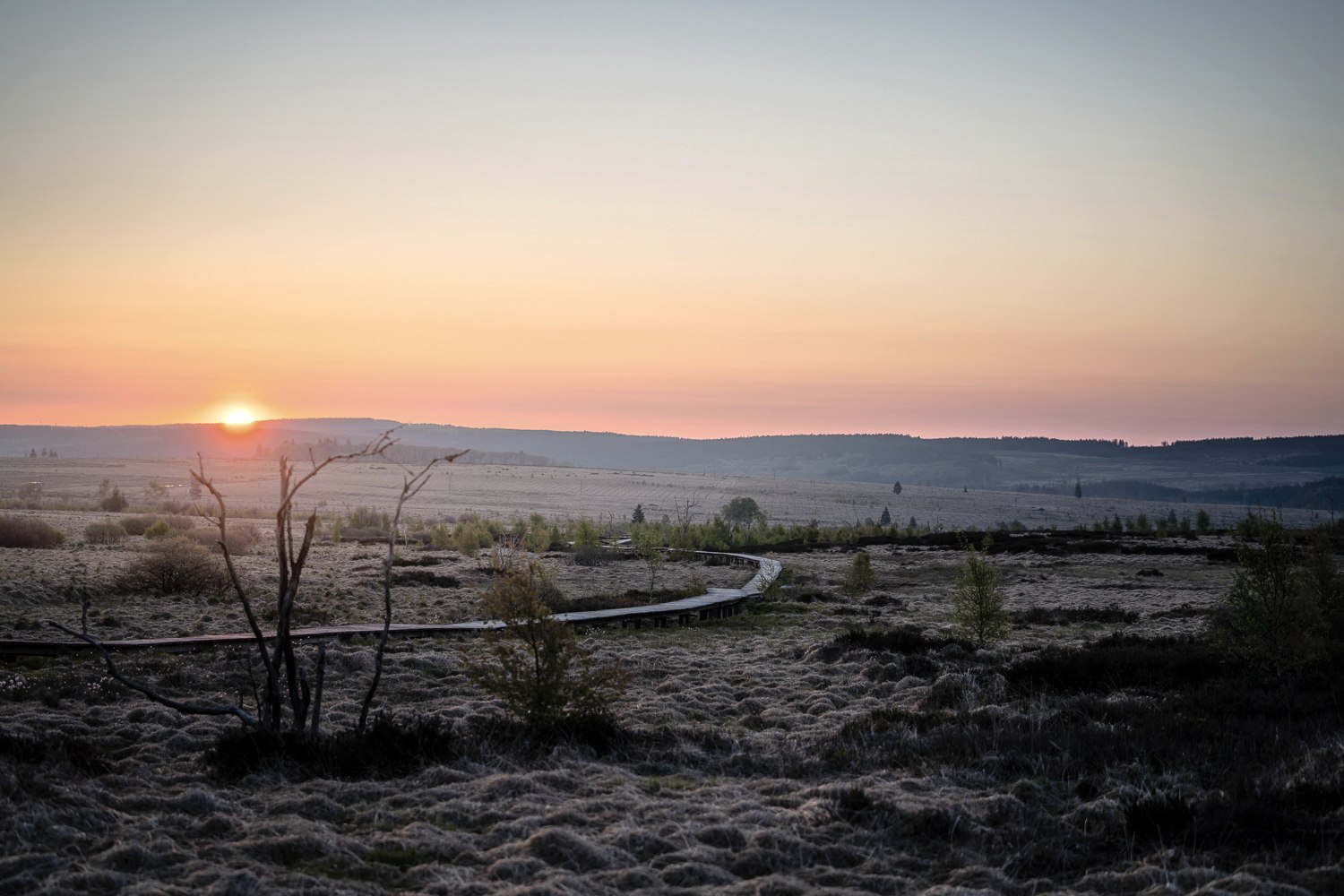 Hohes Venn - Abendstimmung, © Dennis Stratmann