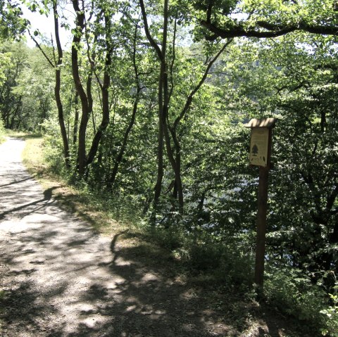 Waldlehrpfad bei Einruhr, © Rursee-Touristik