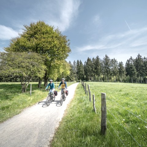 Eifellandschaft bei Kalterherberg, © Eifel Tourismus GmbH