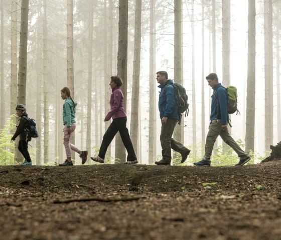 Wandern im Aachener Wald, © StädteRegion Aachen