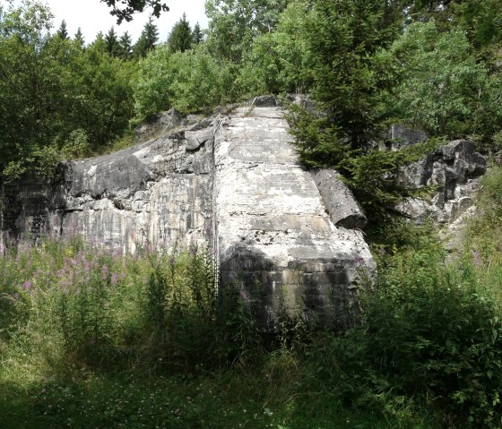 Westwallbunker, © Bernd Läufer