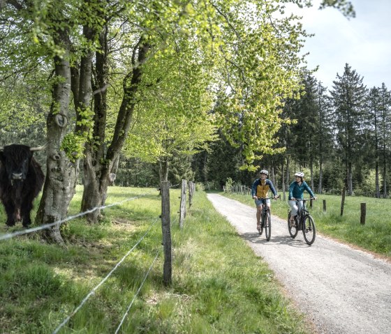 Eifellandschaft bei Kalterherberg, © Eifel Tourismus GmbH