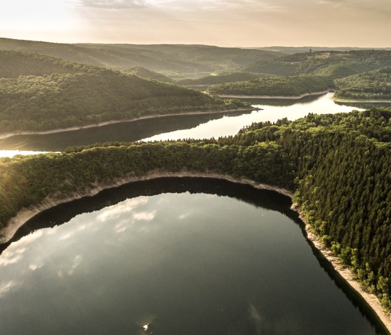 Wilderness of tomorrow: Eifel National Park, © Eifel Tourismus GmbH, D. Ketz